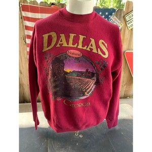 vintage 80s-90s Dallas Georgia Heartland USA Sweatshirt Size L
